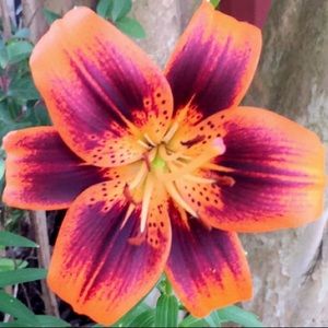 Meet your Posher, Grecia